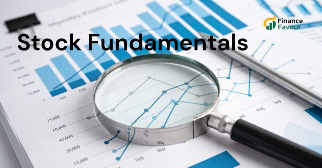 What Are Stock Fundamentals?