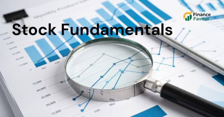 What Are Stock Fundamentals?