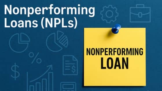 Nonperforming Loan (NPL)